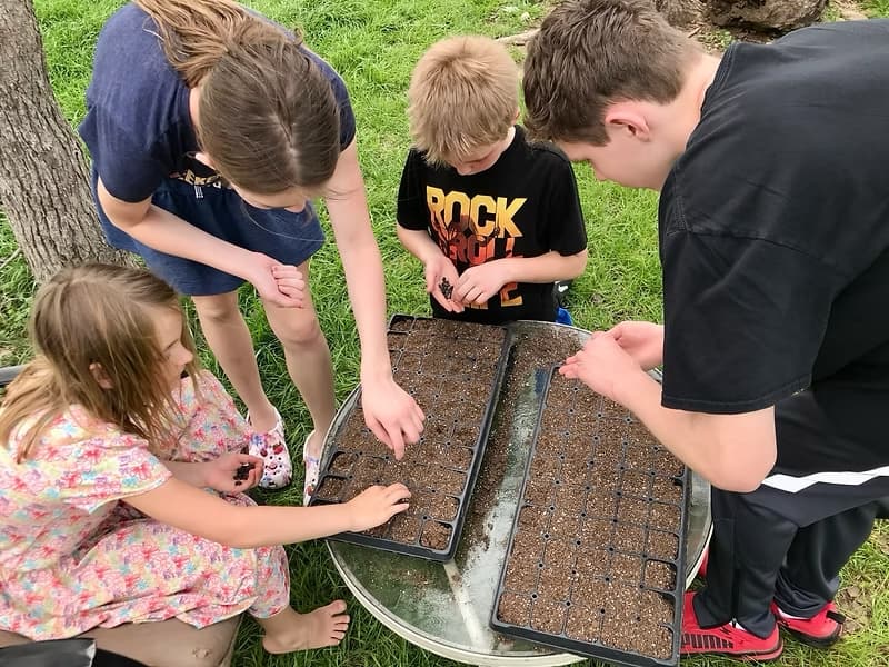 Rhizome Revival grows community through education