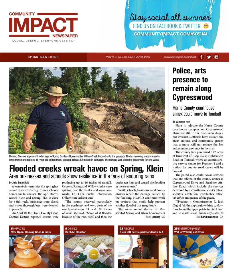 Spring - Klein cover — June 2016
