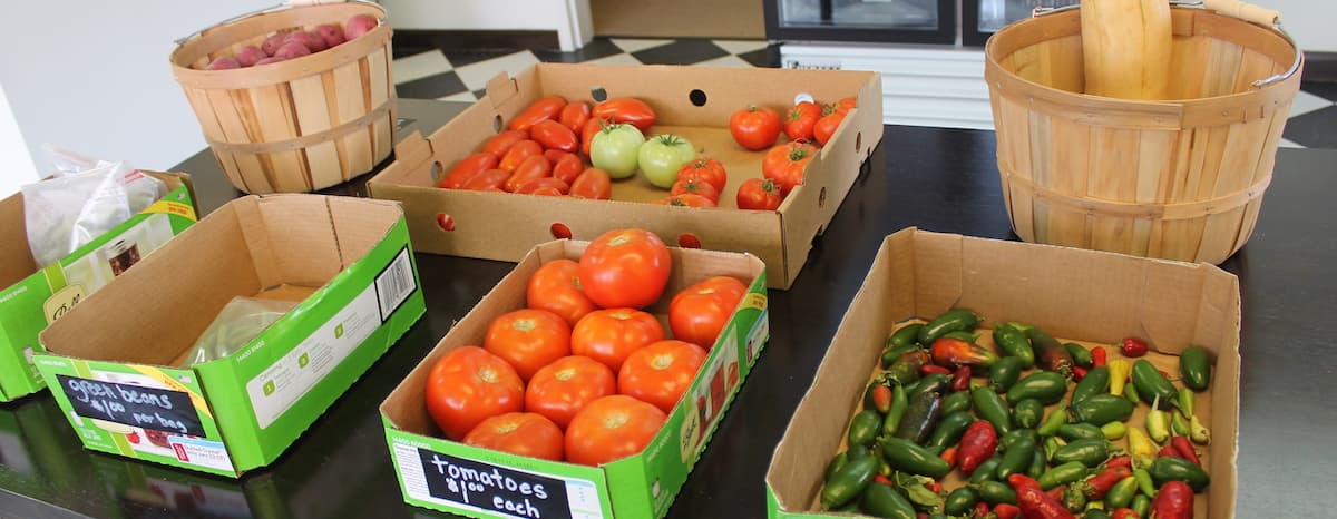 Klein Farmers Market to hold grand opening in Spring-Klein area