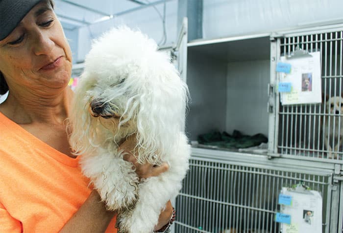 GALLERY: Abandoned Animal Rescue settles in to new Magnolia facility