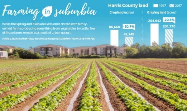 Family-owned farms survive decades of development in Spring, Klein