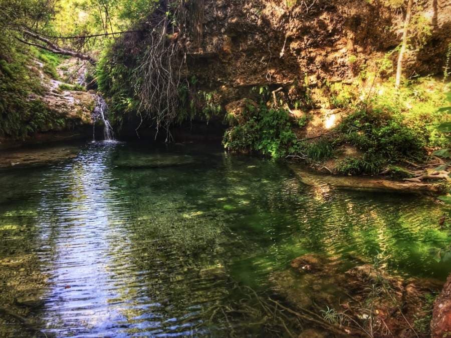 State parks, historical sites reopen as first step in Gov. Abbott's plan to revive Texas economy