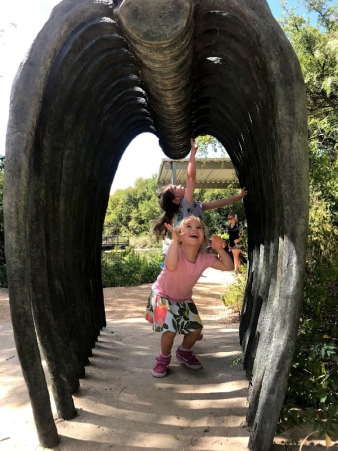 Austin nonprofit launches $25,000 campaign for Austin Nature & Science Center