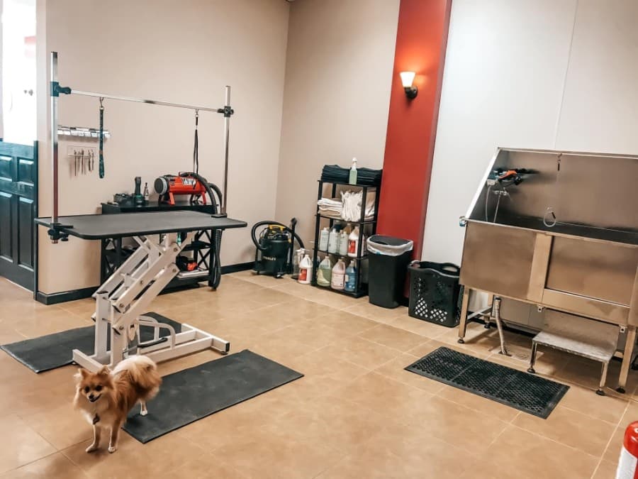 ROUNDUP: Here are four new businesses now open in Tomball, Magnolia