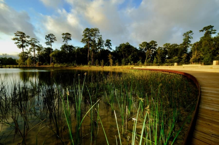 GALLERY: Memorial Park 100-acre Eastern Glades expansion now open to the public