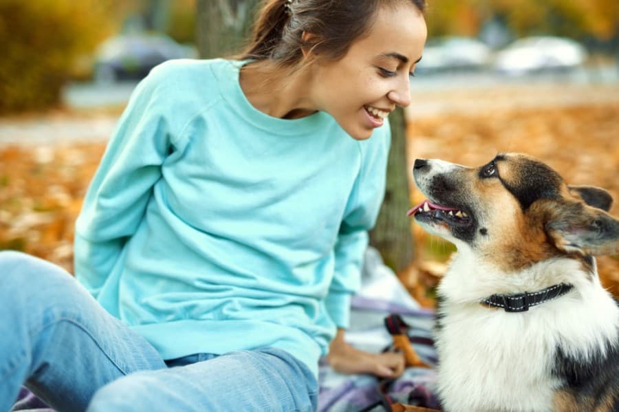Pet Supplies Plus coming to Friendswood