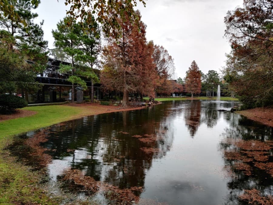 Office, retail space under construction grows in The Woodlands area alongside growing vacancies