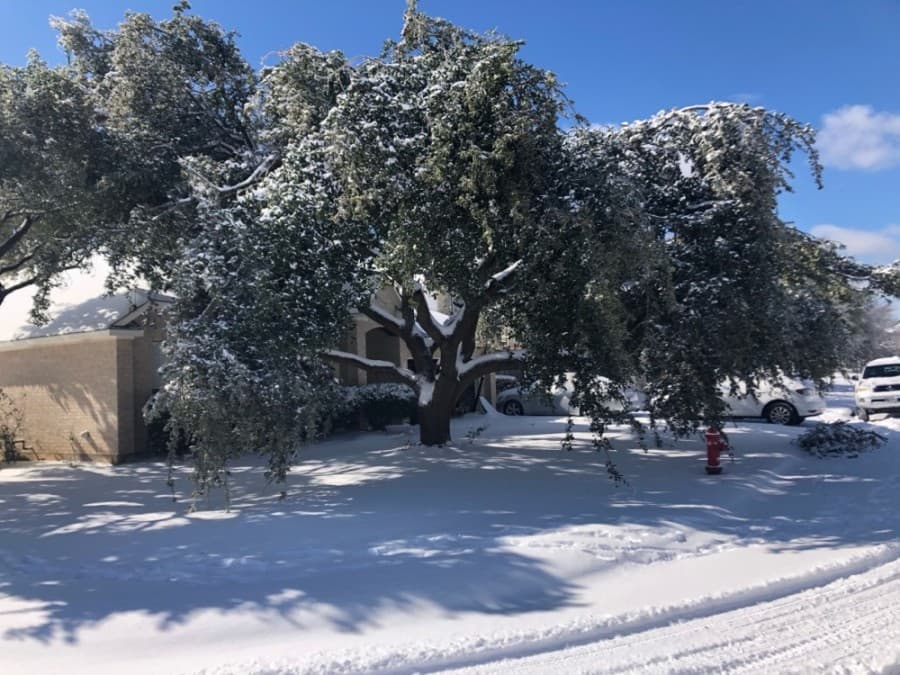 Power outages, road conditions: Feb. 16 winter storm updates in Cedar Park, Leander