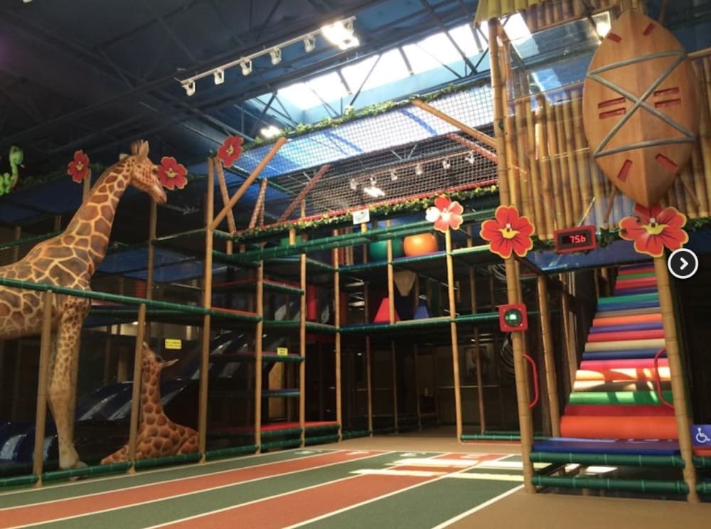 Safari Run celebrates five-year anniversary in Plano