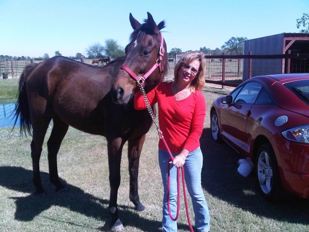 Animal-assisted mental wellness service The Mane Thing to host grand opening on July 8