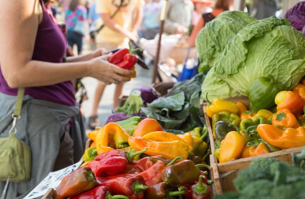 Hot pepper farmers market Magno Farms coming in 2022 to Montgomery