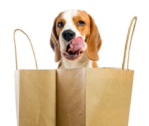 Pet Supplies Plus coming to King’s Crossing in Kingwood in early 2022