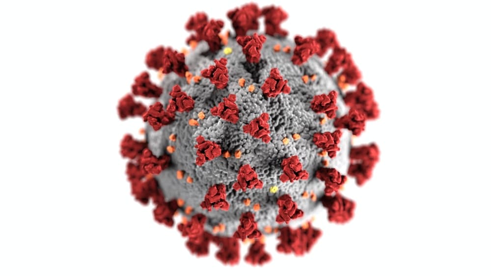 Fort Bend County reports first cases of omicron variant