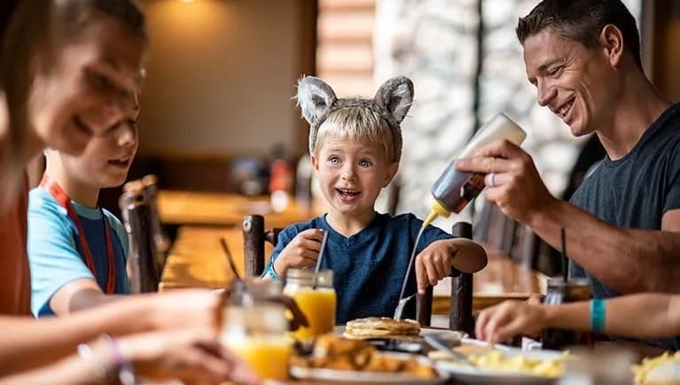 Great Wolf Lodge expected to come to city of Webster