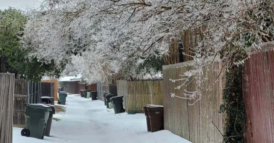 Plano crews clearing fallen trees, debris as facility closures continue