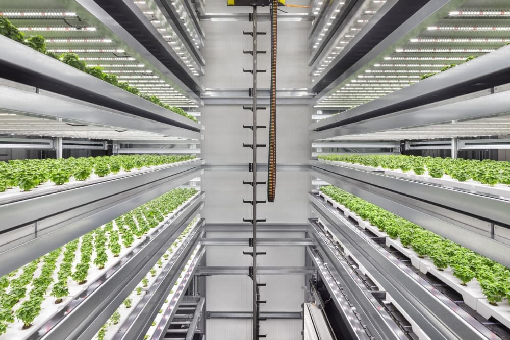 Urban farming enterprise Infarm to open second U.S. facility in Kyle