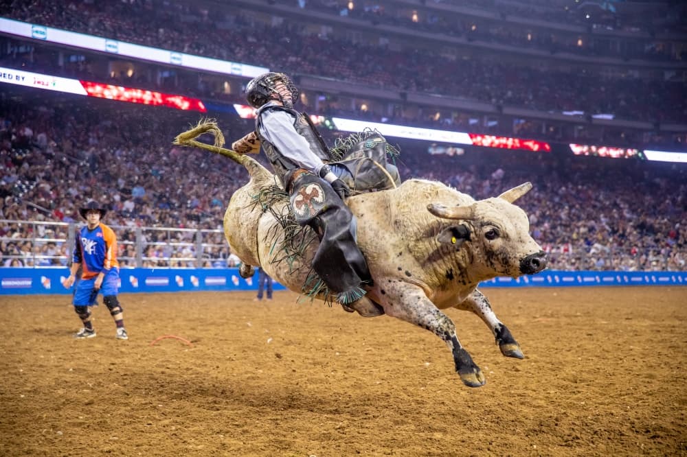 City of Conroe to provide shuttle service to The Woodlands for Houston Livestock Show and Rodeo weekends