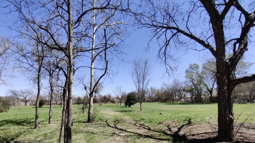 Final plans approved for Windsor Park pocket park in Austin