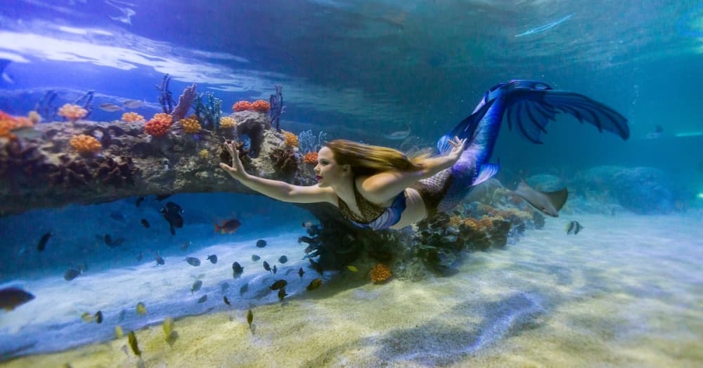 Sea Life Grapevine Aquarium to host mermaid events throughout May