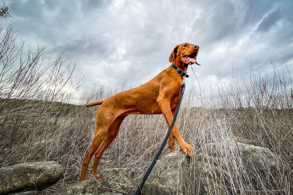 20th Annual Lakeway Photo Festival winners announced