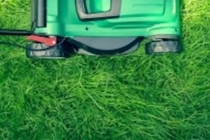 290 Grass relocating to Huffmeister Road in Cypress