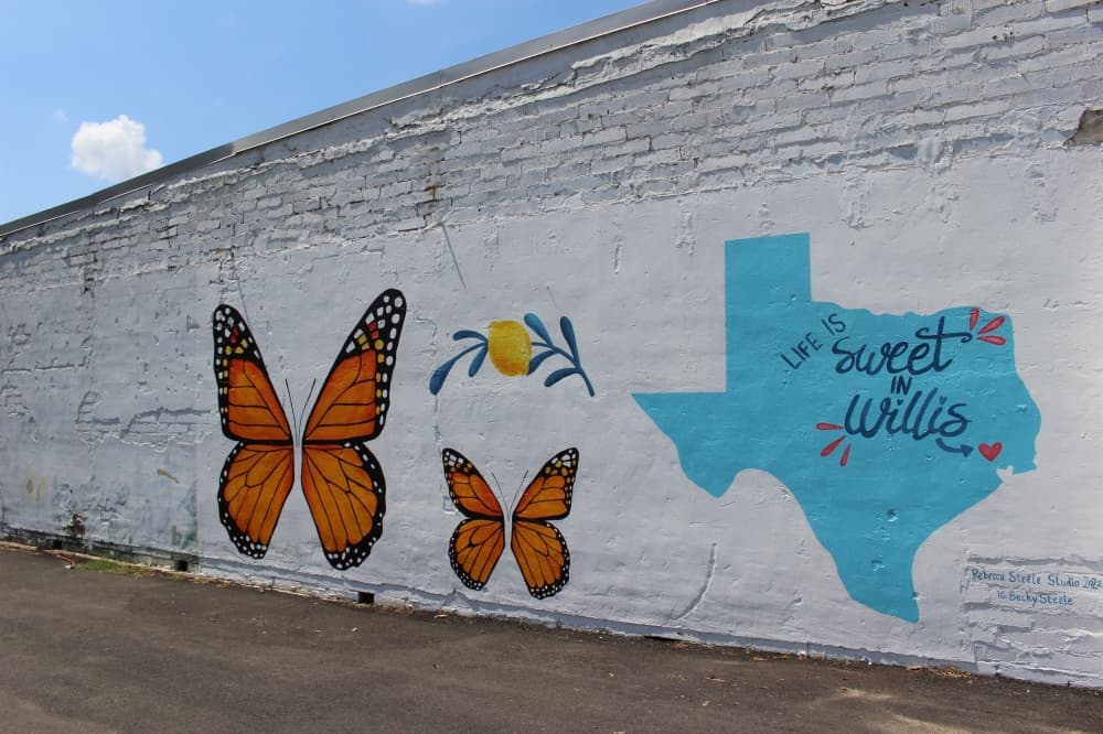 Blue Willow Coffee opens in Willis