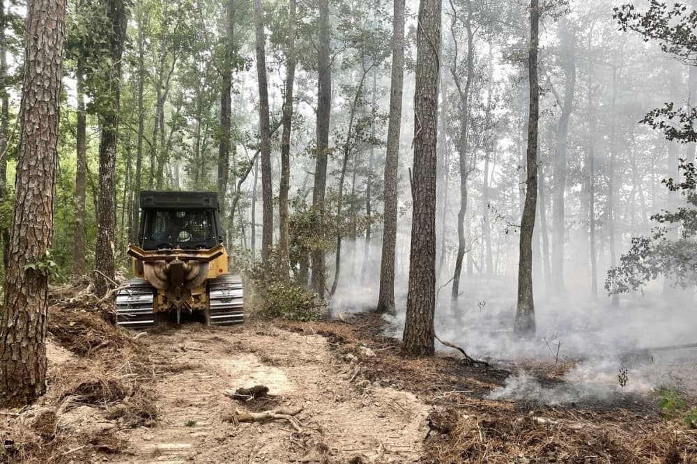 Forest Service warns of increased wildfire risk in North, Central, East Texas