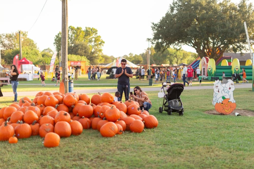 5 pumpkin patches to visit this fall in Tomball, Magnolia