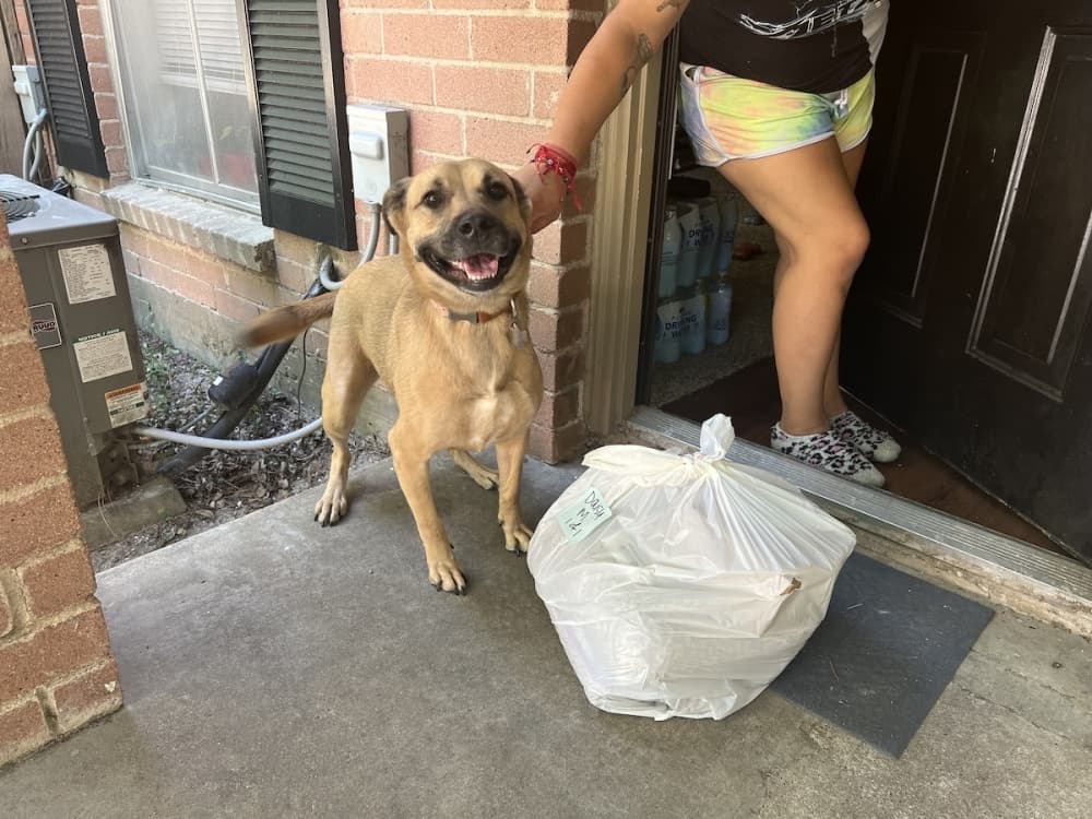 Houston Humane Society partners with DoorDash to deliver pet food to those in need