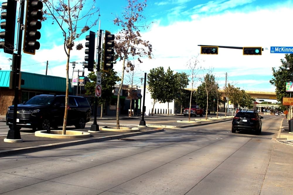 Richardson to replace nearly 50 trees on Main Street due to winter storm damage