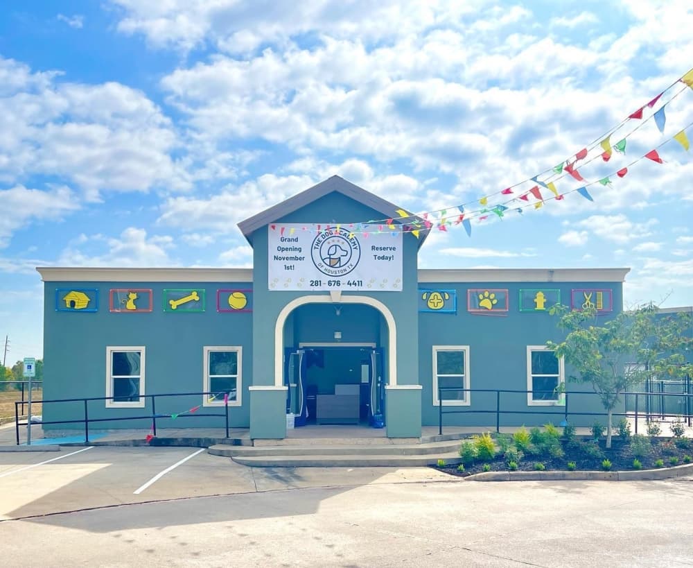 Dog academy opens new location in Katy, brings obedience training and pet boarding