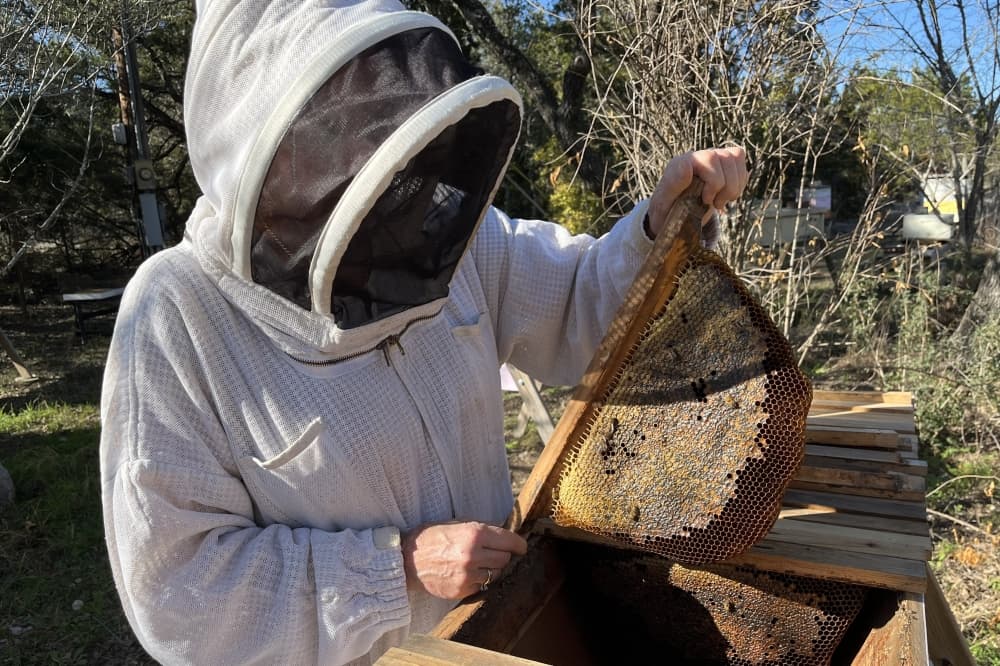 Small businesses sweat in western Travis County & a trip to Texas Honey Bee Farm