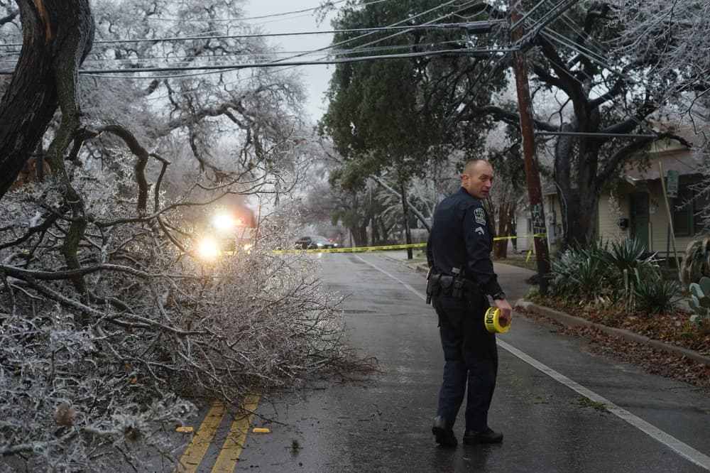 'It’s been call after call after call': Austin city leaders respond to fallen trees