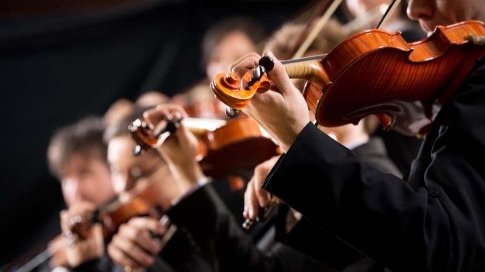 Check out what's happening Feb. 10-12 in Conroe, Montgomery