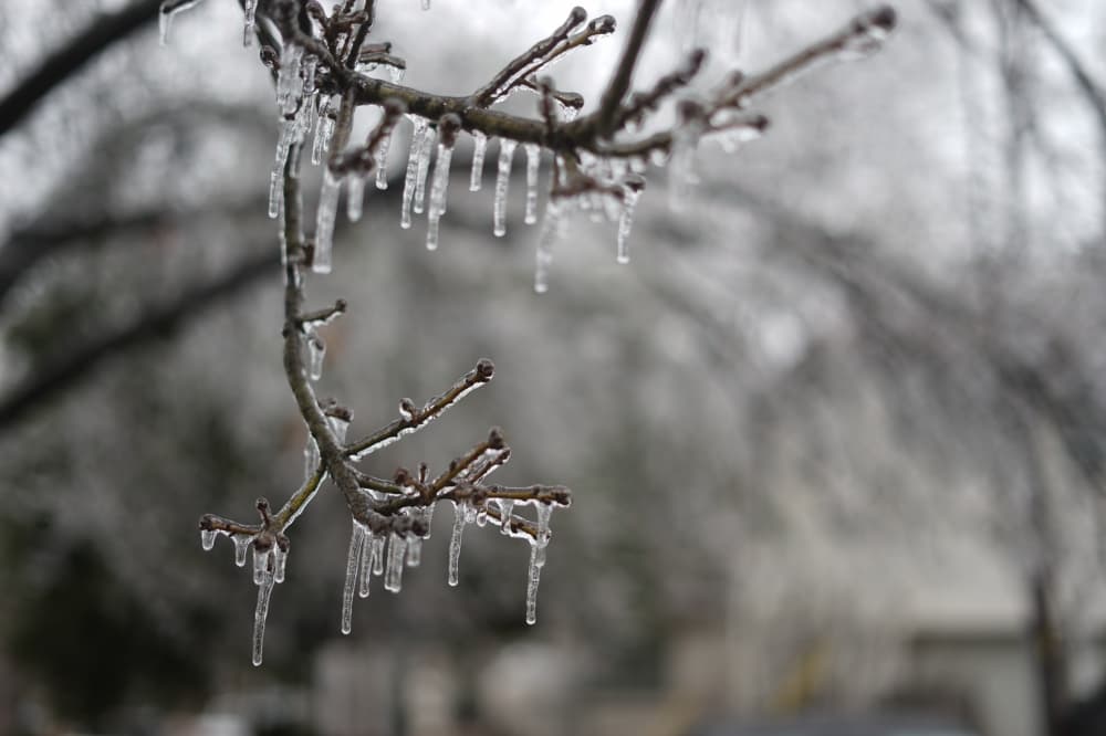 Richardson announces city facility closures this weekend due to winter weather