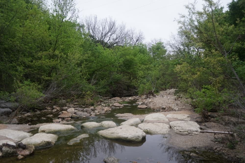 Estimated 0.07% of fish in Shoal Creek killed from water main break, data shows