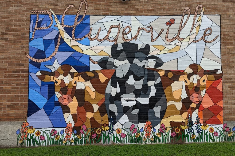 Pflugerville approves creation of public art program