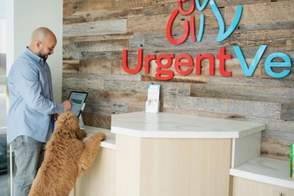 UrgentVet to open pet clinic at Meyerland Commons in April