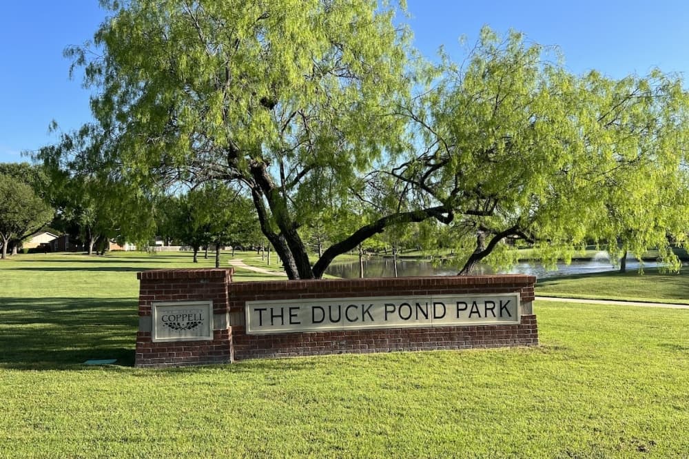 Coppell Duck Pond Park to receive new concrete walking trail, playground surface replacement