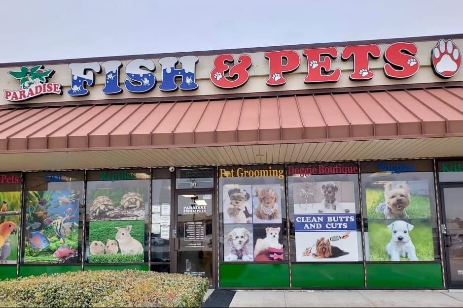 Paradise Fish and Pets now under new ownership in Humble