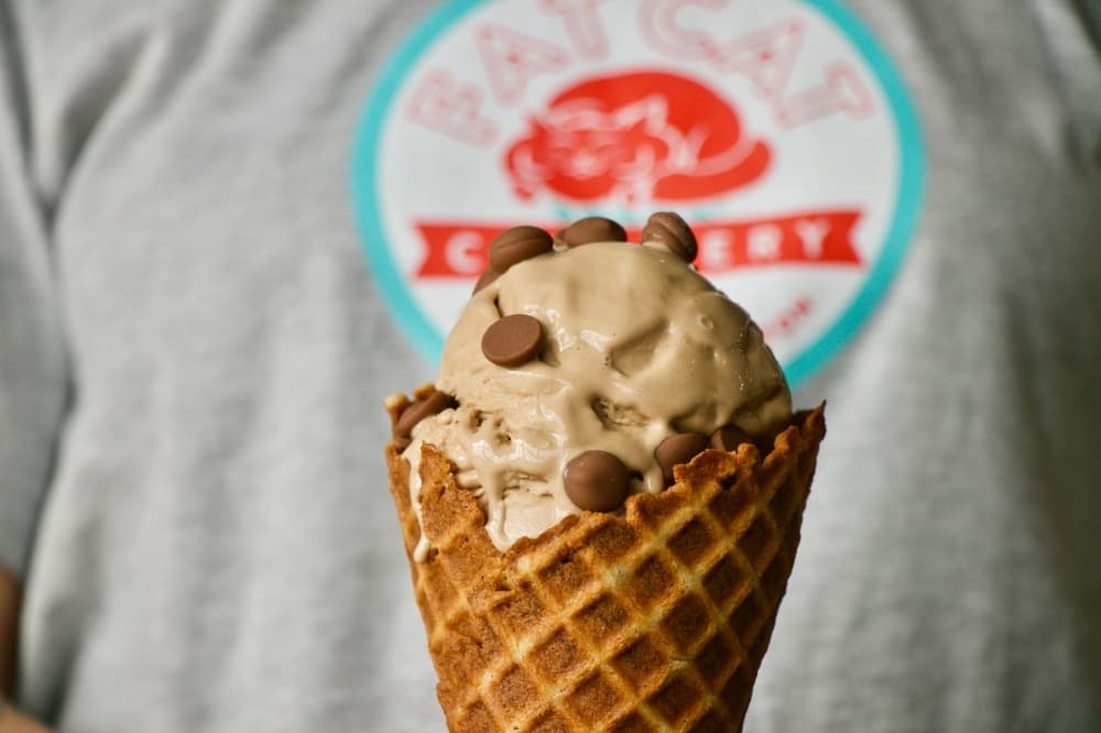 Fat Cat Creamery to serve frozen treats at Hobby Airport