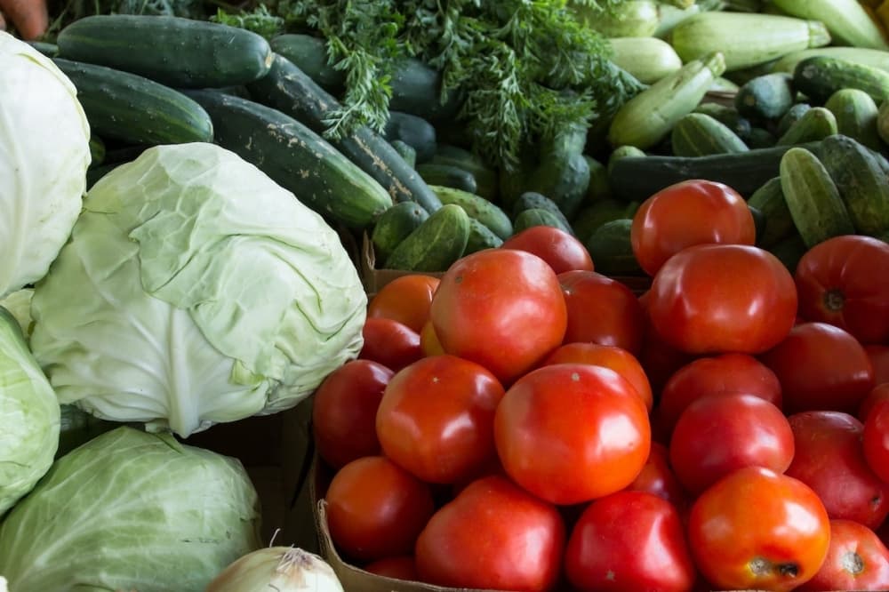 New farmers, artisan market launches in Magnolia