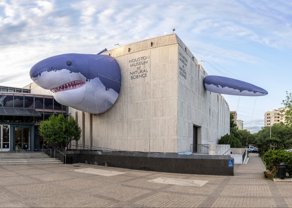 ‘Jaw-some’ expansion to join Houston science museum's sharks exhibit