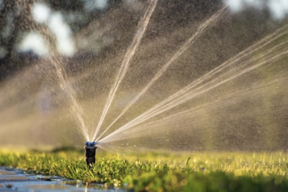Argyle-based water organization urges conservation