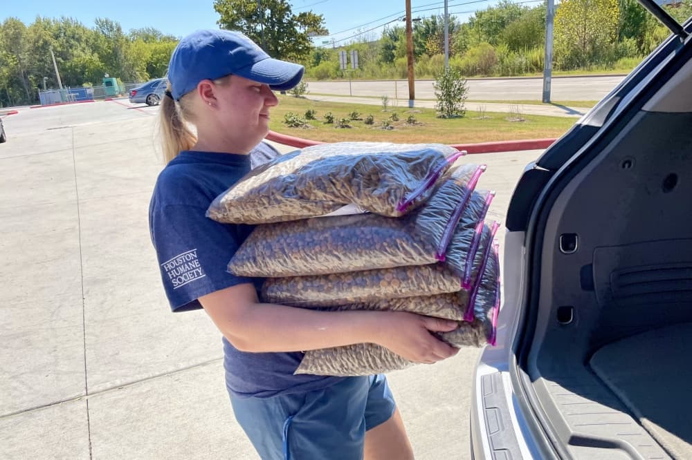 Houston Humane Society tackles heat, overcrowding for over 500 animals
