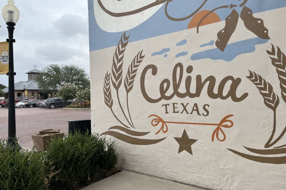 Celina EDC removes executive director, appoints interim director
