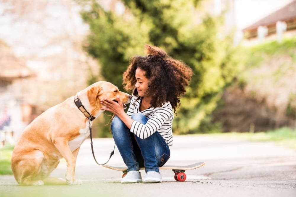 Bella Terra Animal Hospital now serving pets in Richmond, surrounding cities
