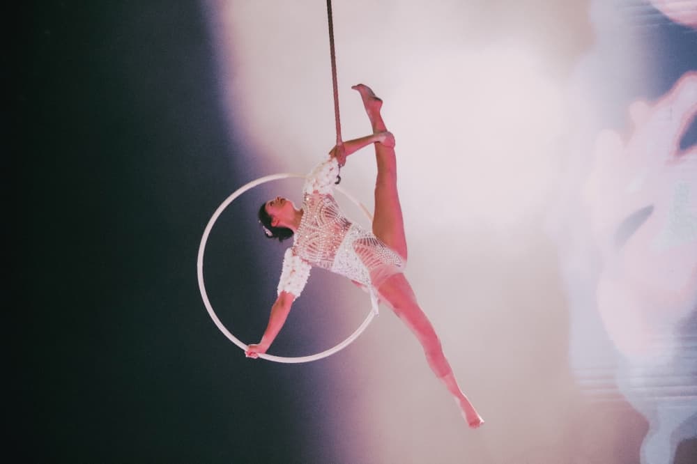 Circus acts, shopping and more to do in Leander, Liberty Hill this winter