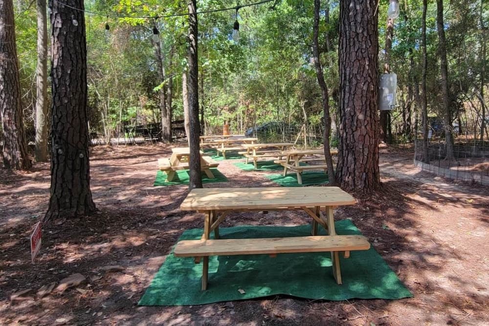 The Treehouse Cafe adds outdoor seating, expands drink menu