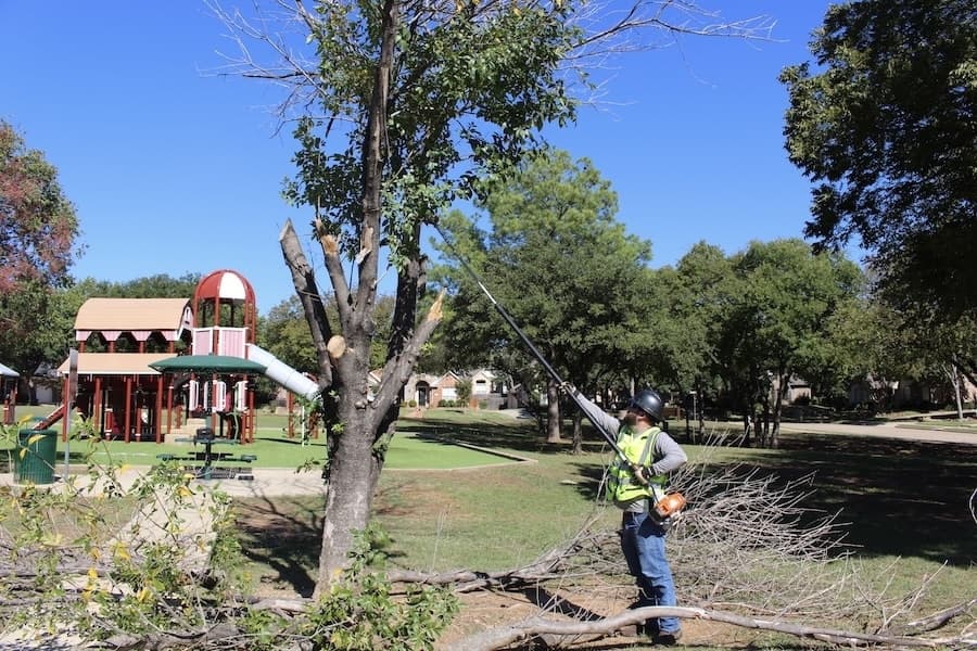Flower Mound parks and recreation employee finds fulfillment in outdoors work